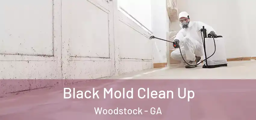 Black Mold Clean Up Woodstock - GA