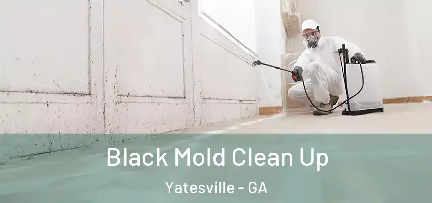 Black Mold Clean Up Yatesville - GA