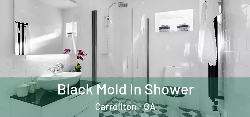 Black Mold In Shower Carrollton - GA