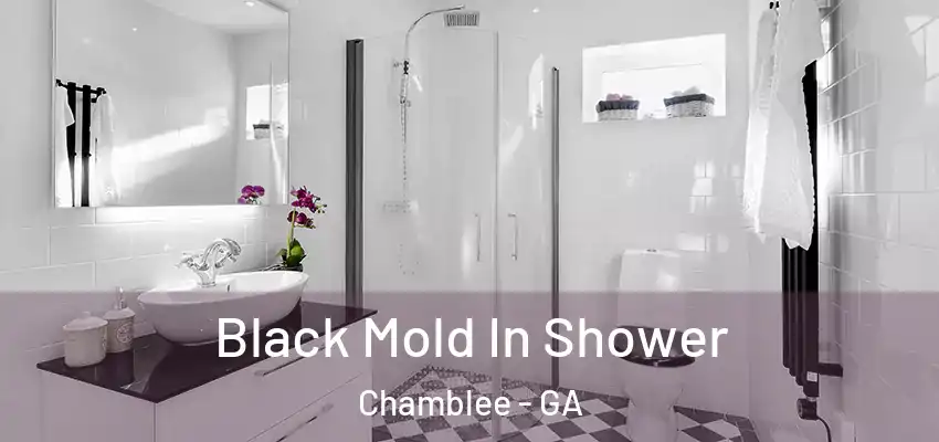 Black Mold In Shower Chamblee - GA
