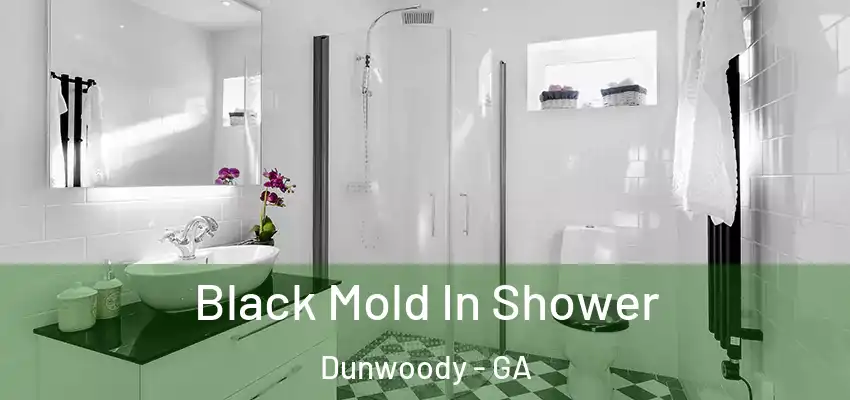 Black Mold In Shower Dunwoody - GA