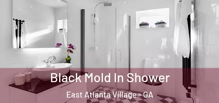 Black Mold In Shower East Atlanta Village - GA