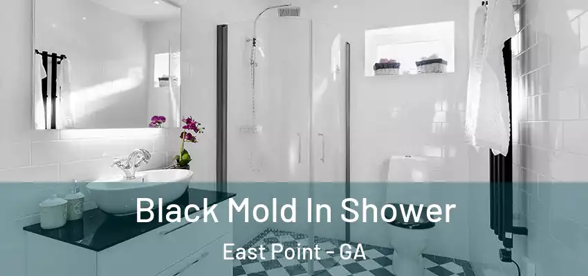 Black Mold In Shower East Point - GA