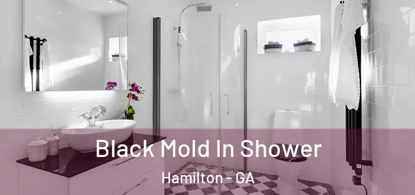 Black Mold In Shower Hamilton - GA