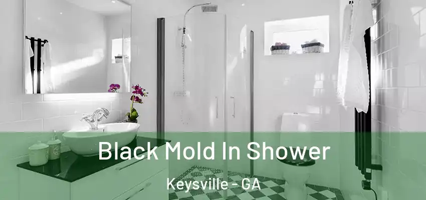 Black Mold In Shower Keysville - GA