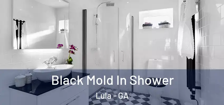  Black Mold In Shower Lula - GA