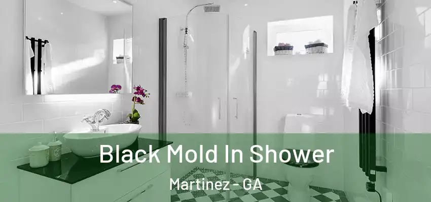 Black Mold In Shower Martinez - GA