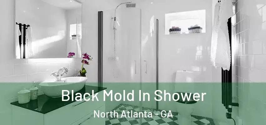Black Mold In Shower North Atlanta - GA