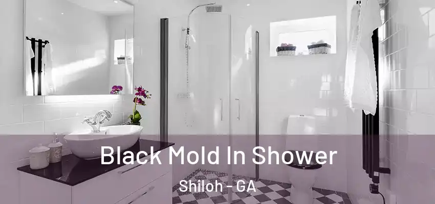 Black Mold In Shower Shiloh - GA