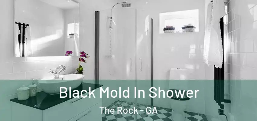 Black Mold In Shower The Rock - GA