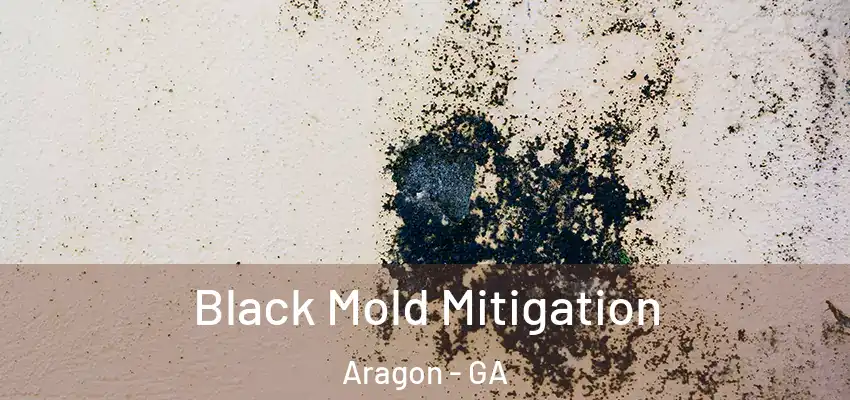 Black Mold Mitigation Aragon - GA