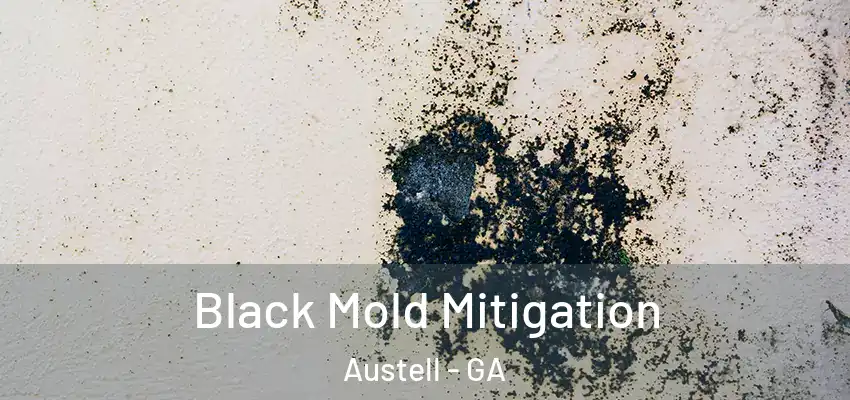 Black Mold Mitigation Austell - GA
