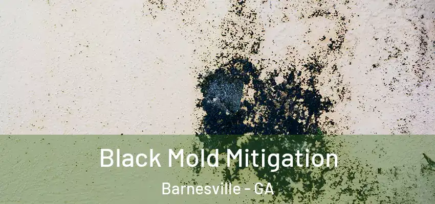 Black Mold Mitigation Barnesville - GA