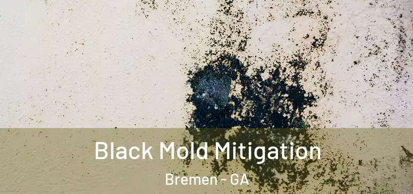 Black Mold Mitigation Bremen - GA