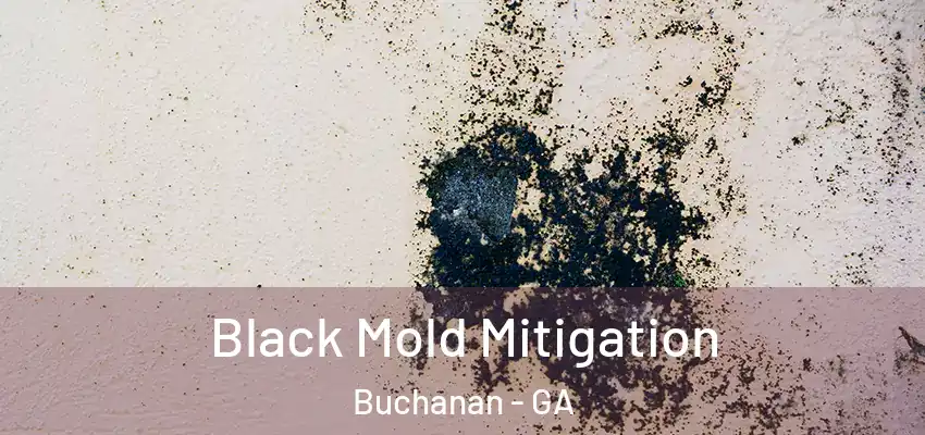 Black Mold Mitigation Buchanan - GA