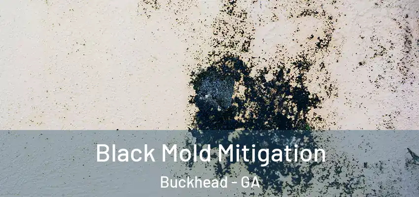 Black Mold Mitigation Buckhead - GA
