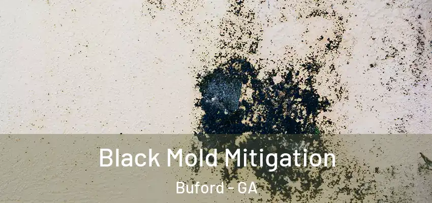 Black Mold Mitigation Buford - GA