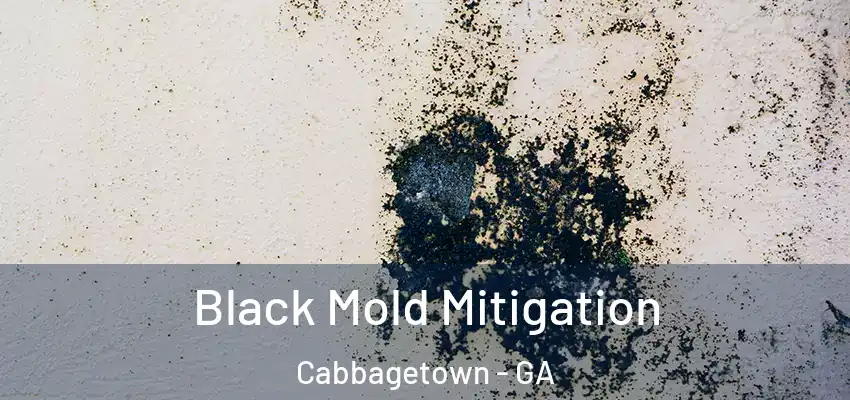 Black Mold Mitigation Cabbagetown - GA