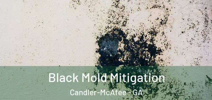 Black Mold Mitigation Candler-McAfee - GA
