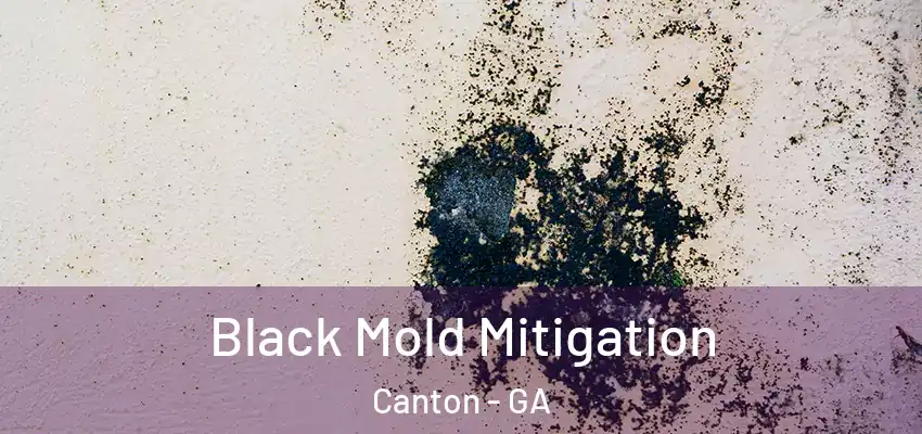Black Mold Mitigation Canton - GA