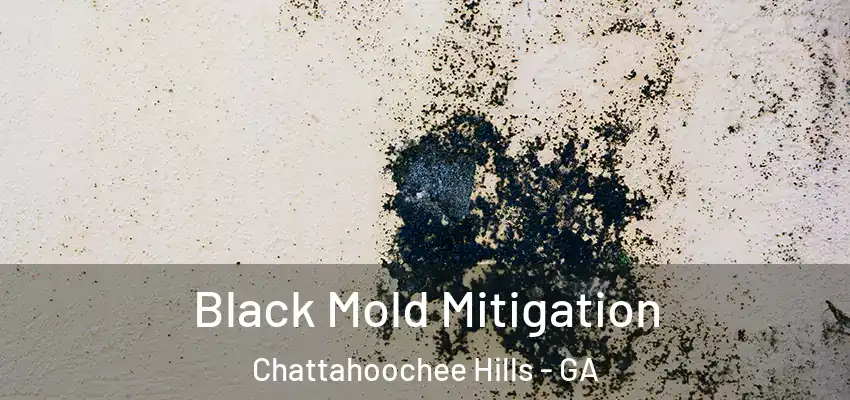 Black Mold Mitigation Chattahoochee Hills - GA