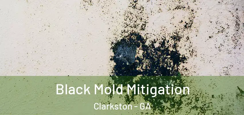 Black Mold Mitigation Clarkston - GA