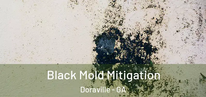 Black Mold Mitigation Doraville - GA