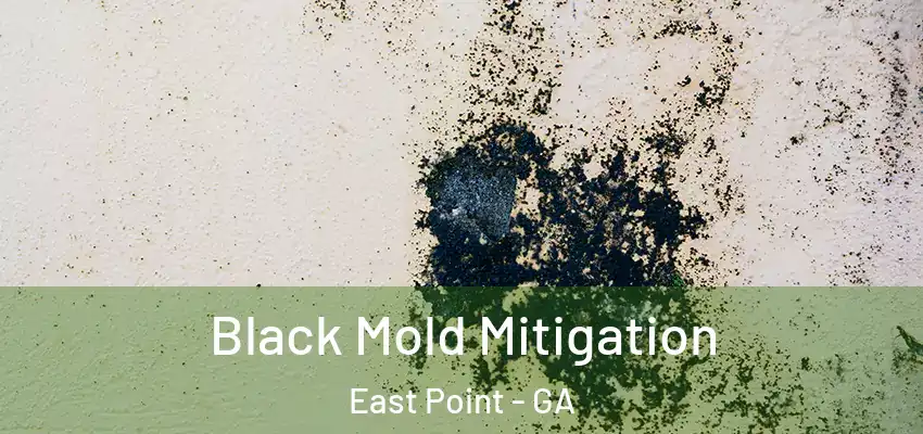 Black Mold Mitigation East Point - GA