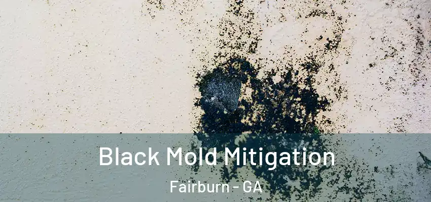 Black Mold Mitigation Fairburn - GA