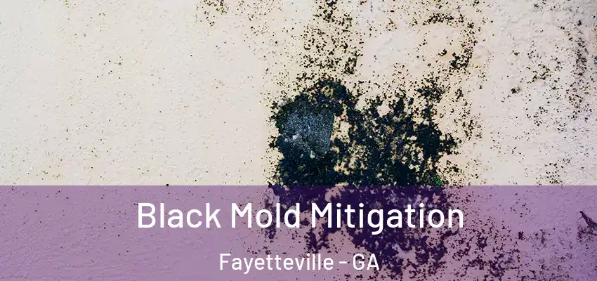 Black Mold Mitigation Fayetteville - GA
