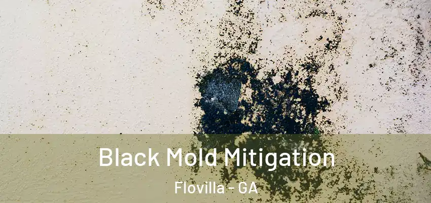 Black Mold Mitigation Flovilla - GA