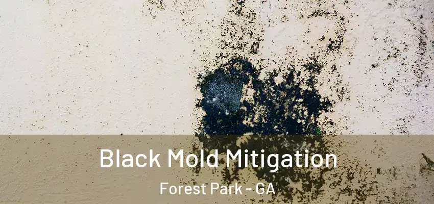 Black Mold Mitigation Forest Park - GA