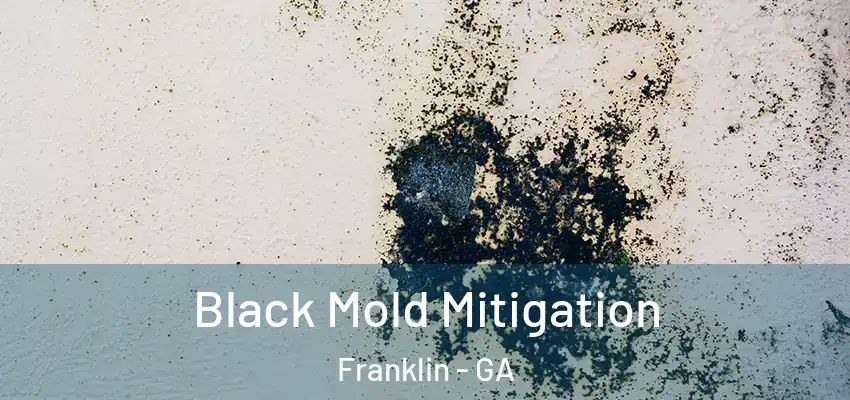 Black Mold Mitigation Franklin - GA
