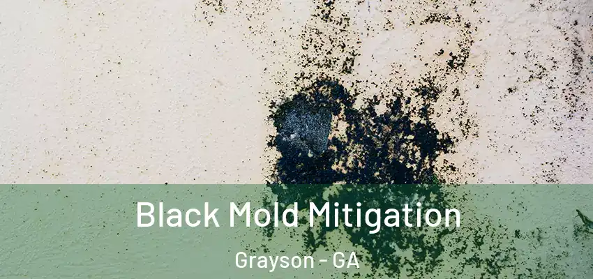 Black Mold Mitigation Grayson - GA
