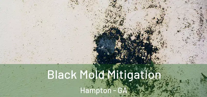 Black Mold Mitigation Hampton - GA