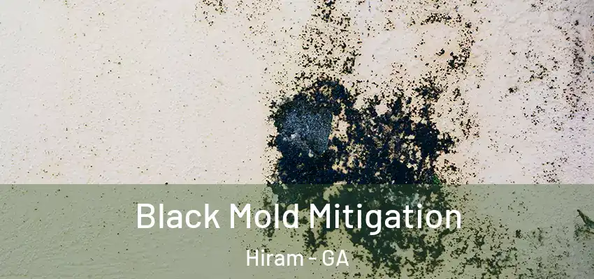 Black Mold Mitigation Hiram - GA