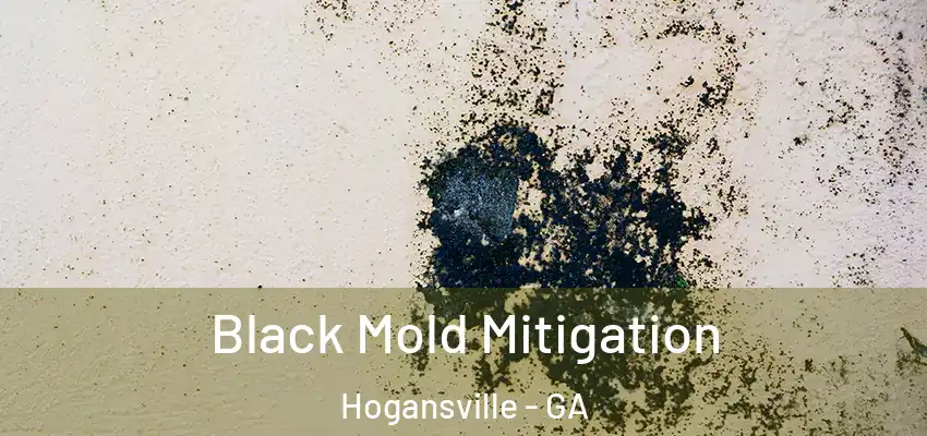 Black Mold Mitigation Hogansville - GA