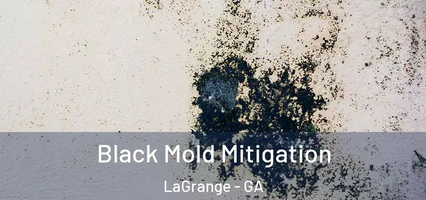 Black Mold Mitigation LaGrange - GA