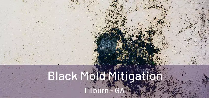 Black Mold Mitigation Lilburn - GA