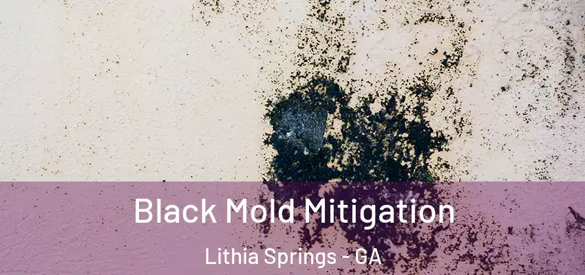 Black Mold Mitigation Lithia Springs - GA