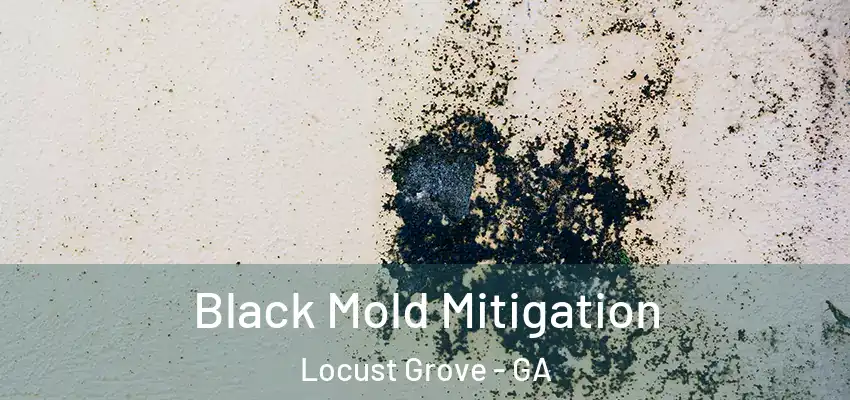 Black Mold Mitigation Locust Grove - GA