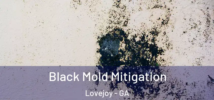 Black Mold Mitigation Lovejoy - GA