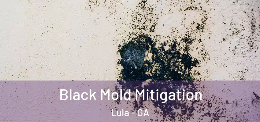 Black Mold Mitigation Lula - GA
