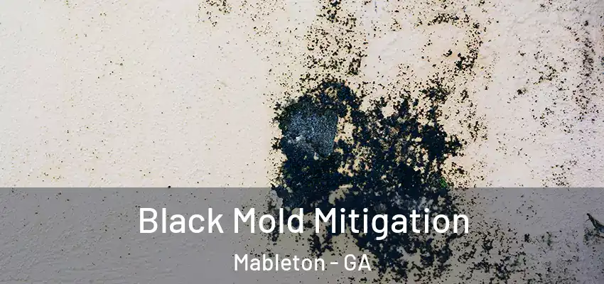 Black Mold Mitigation Mableton - GA