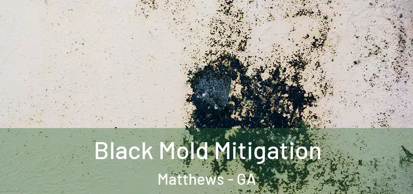  Black Mold Mitigation Matthews - GA
