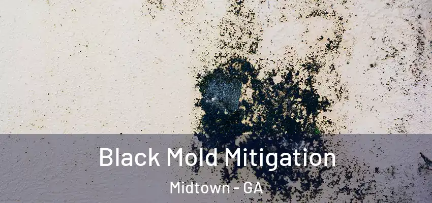 Black Mold Mitigation Midtown - GA