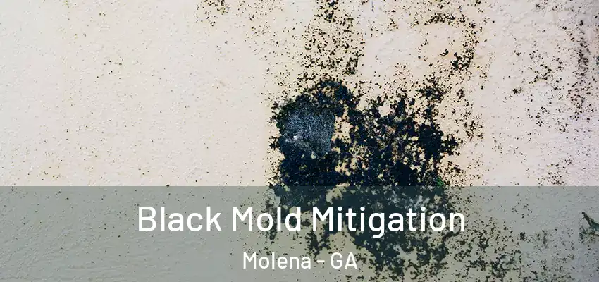 Black Mold Mitigation Molena - GA
