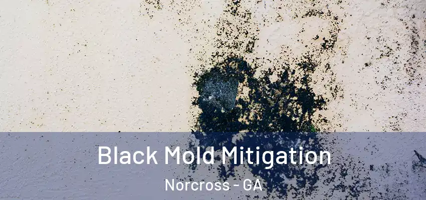 Black Mold Mitigation Norcross - GA