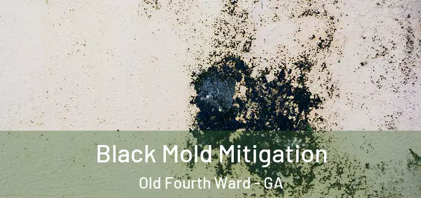 Black Mold Mitigation Old Fourth Ward - GA