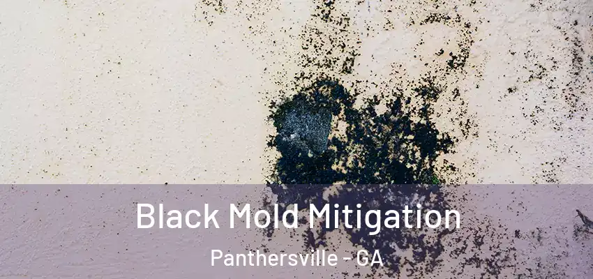 Black Mold Mitigation Panthersville - GA